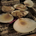 ヤマト - 2011年初回訪問時。