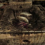 ヤマト - 2011年初回訪問時。