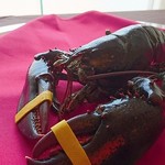 ルルニース浄水 - 