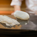 日本橋蛎殻町 すぎた - あおりいか、マコガレー