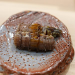 日本橋蛎殻町 すぎた - 子持ちしゃこ