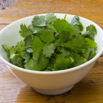 “パクチー” Coriander