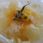 Shin Harada - マンゴープリン；アップ