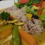 高澤記念館 - さきたま古墳　古代米ココナツミルクカレー；アップ