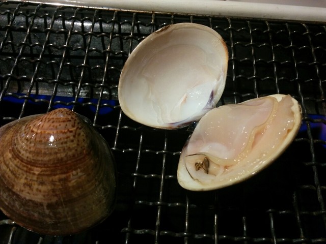 鱼贝バル hamajirushi