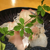 寿司割烹 小松 - 