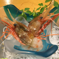 寿司割烹 小松 - 