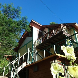 ぎゃらりー&かふぇ ねこ道楽_2