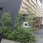 廚 菓子 くろぎ - たまに行くならこんな店は、毎年毎年ボリューム感＆豪華に変わっていくかき氷が楽しめる「厨菓子くろぎ」です。