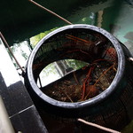 なにわ - 生け簀には伊勢海老