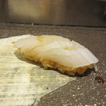 すし京辰  - A-10　握り　アオリイカ