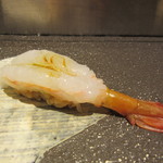 すし京辰  - A-13　握り　ボタン海老