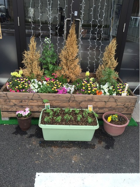 kitchen 比呂 - 美田園（居酒屋）の写真