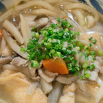 Teuchi Udon Sumita - 煮込みけんちんうどん（900円）