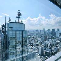 Fish Bank TOKYO - 店内の41階テーブル席からの眺望です
