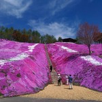 ひがしもこと芝桜公園売店 - 