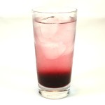 全席個室 楽蔵 - サワー