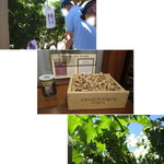 GRGICH HILLS ESTATE - 