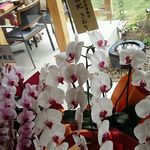 千丑茶屋 - 内観：開店祝い花
