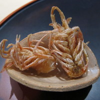 お料理 佐藤 - 車海老頭