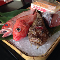 浅草むぎとろ 本店 - 