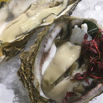 ビストロ ティアボ - 