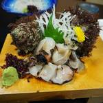 Aoki Zushi - 