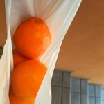 ラーメン 厚木家 - お土産のオレンジ。￥ブライスレス