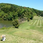 大新潟カントリークラブ　出雲崎コース - 