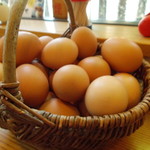 熊福 - 新鮮卵食べ放題