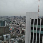 ホテルオークラレストラン新宿 中国料理 桃里 - [内観] 店内 客席から見る新宿の街並み ②