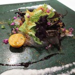 ラ ヴィオレッタ - 師崎産真鯛のカルパッチョ　新玉ねぎのソース