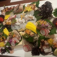 上関芸陽 - 
