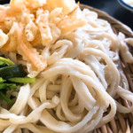 手打うどん 小島屋 - うどん