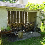 カフェ ネスト - 