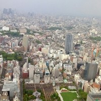 天空の庭　星のなる木 - 