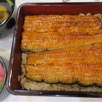 入谷鬼子母神門前のだや - 