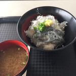 田子の浦港 漁協食堂 - ハーフ丼&味噌汁