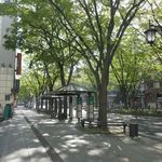 カラ助 - 食事後は杜の都仙台らしい、木々に溢れた通りを抜けてお店を後にしました。