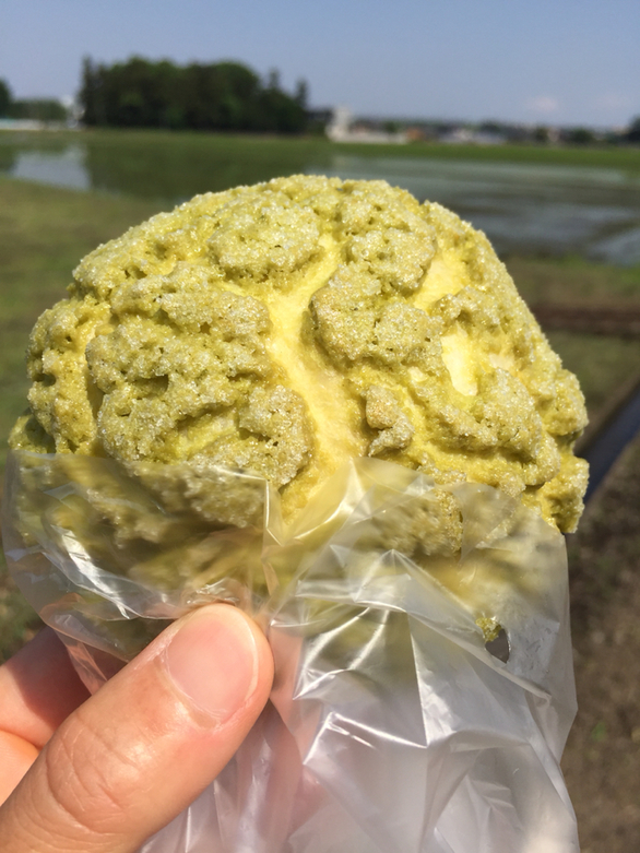 国産小麦と天然酵母パン くすもとベーカリー name=
