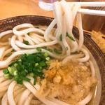 讃岐うどん 條辺 - 饂飩