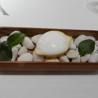 スリオラ - 【カバのシャーベット レモン風味】◎2017/4