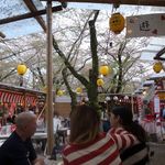 平野神社境内　花見茶屋　遊楽 - 