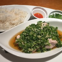 tcc GINZA - ジンジャーオニオンチキン