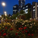 キャトルラパン - 中之島バラ園