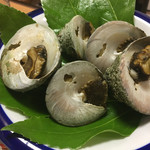 天一 - こしだかしろみな、