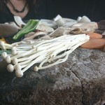 きのこの里 鈴加園 - 石で焼いていきます