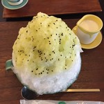 瑠庵 島色 - キウイ