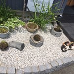 手打そば　稜庵 - 玄関手前の飾り付け