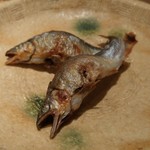麻布 幸村 - 稚鮎の焼物